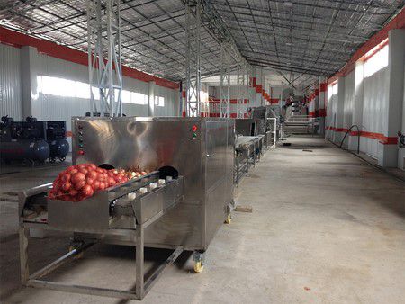 Línea de procesamiento y deshidratación de cebolla en Tayikistán