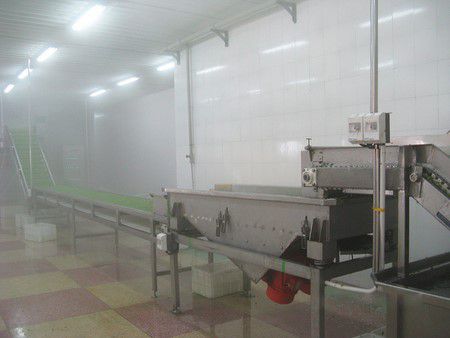 Congeladores IQF para fresas, arándanos y otras frutas en Azerbaiyán