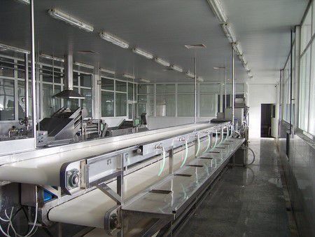 Equipo de pretratamiento de pepino de mar listo para el consumo para Shandong Oriental Ocean Group