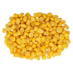 Fresh Sweet Corn